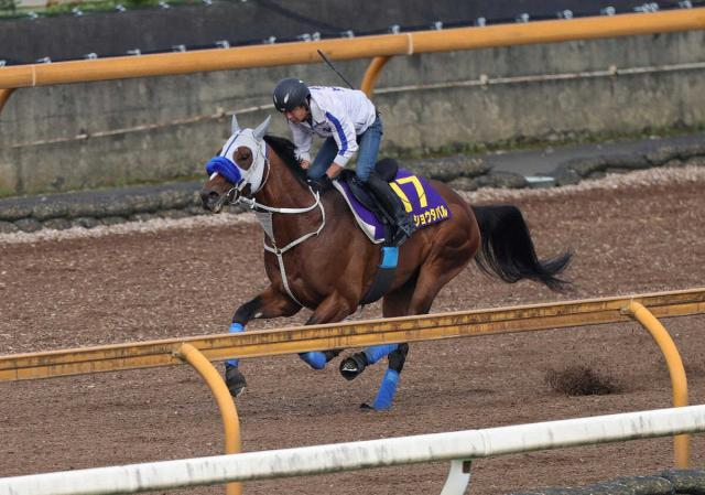 【宝塚記念】メイショウタバル“行雲流水”武豊と連覇へ!　CWラスト1F10秒9抜群仕上がり