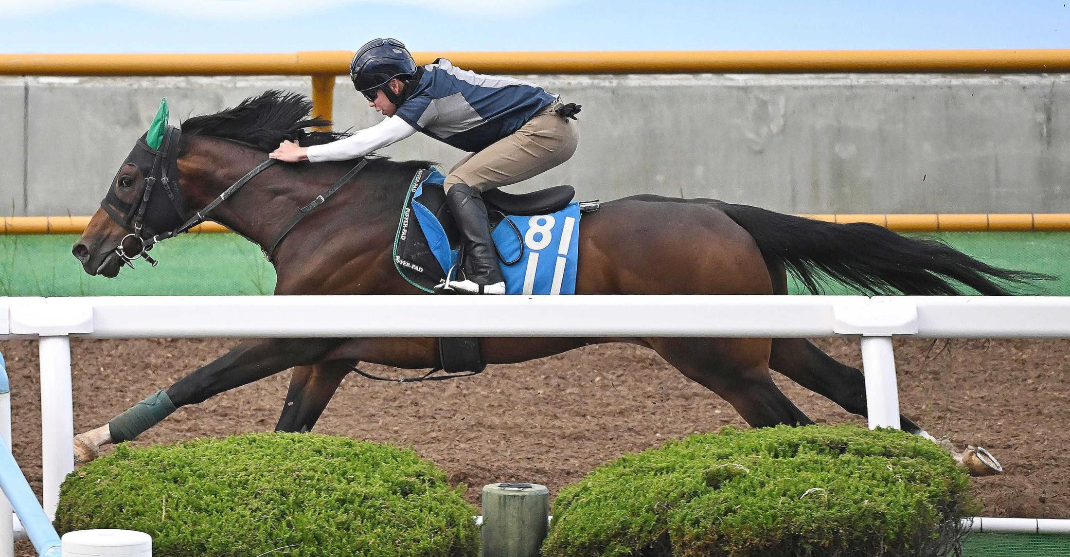【函館ＳＳ】レイピア　ラストまでしっかり　重いチップに苦戦も　初コンビ横山武「癖はなく乗りやすい」