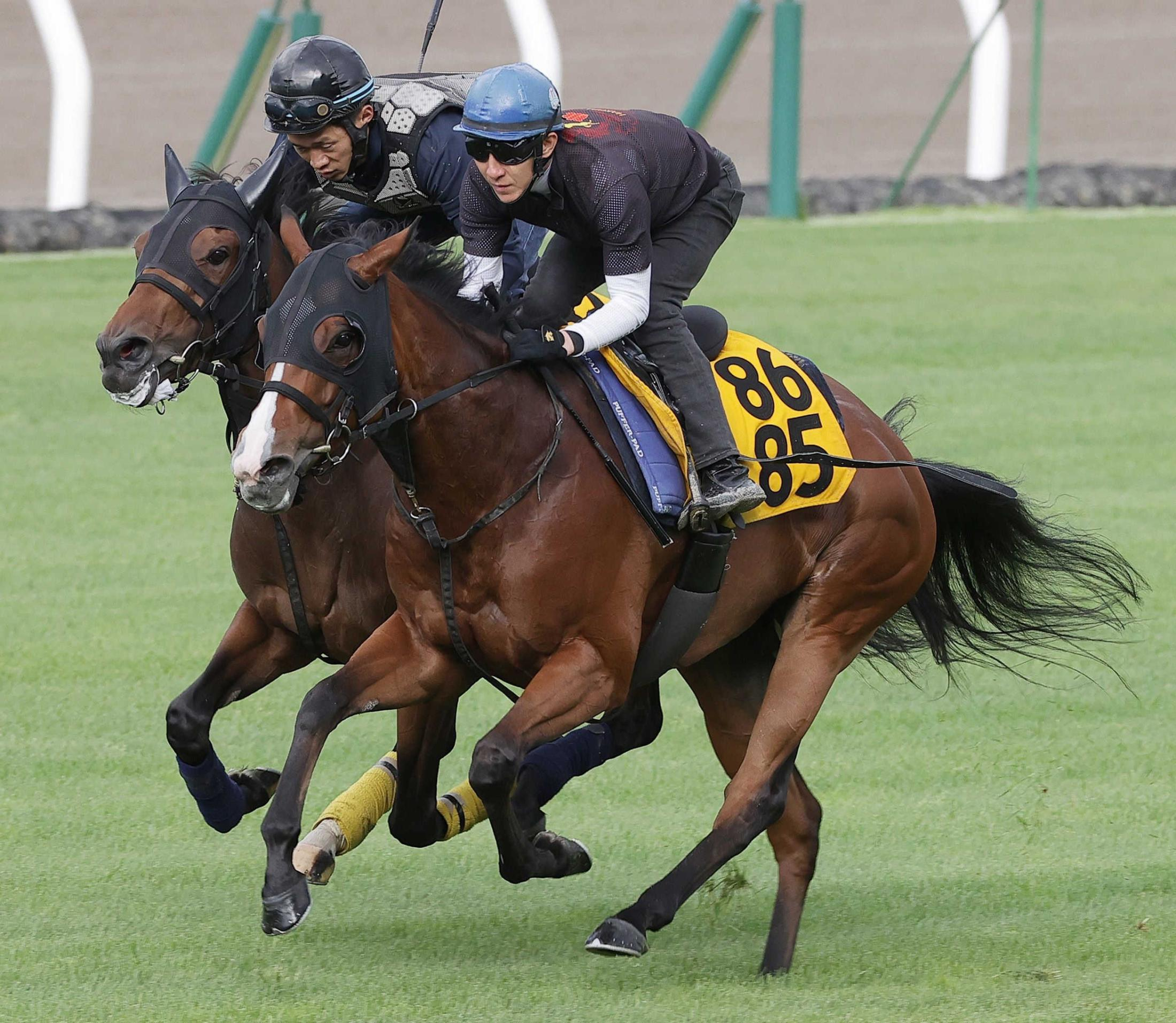 【函館ＳＳ】カルプスペルシュ　素質は確か　初コンビ丹内も好感触「乗り難しさがほとんどない」