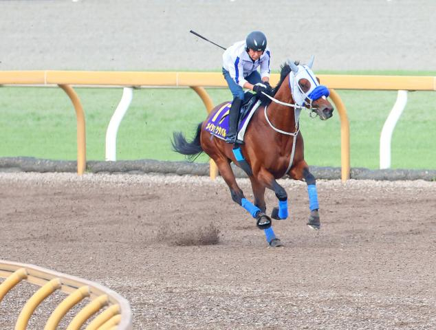 【宝塚記念】連覇を狙うメイショウタバル、持ったままラスト10秒9　先週最年長G1制覇を達成した武豊騎手も“出待ち”でねぎらい