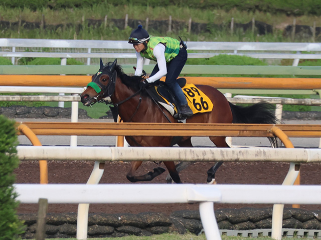 テレサなど、府中牝馬S1週前追い切り速報/栗東トレセンニュース