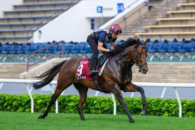 サトノレーヴが仏モーリスドゲスト賞に登録　ジャックルマロワ賞は日本調教馬4頭が登録