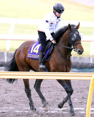 【G1トク捜リレー】異例の木曜栗東入り　美浦・浅子記者注目のミクニインスパイアが4番枠から驚かせる　宝塚記念
