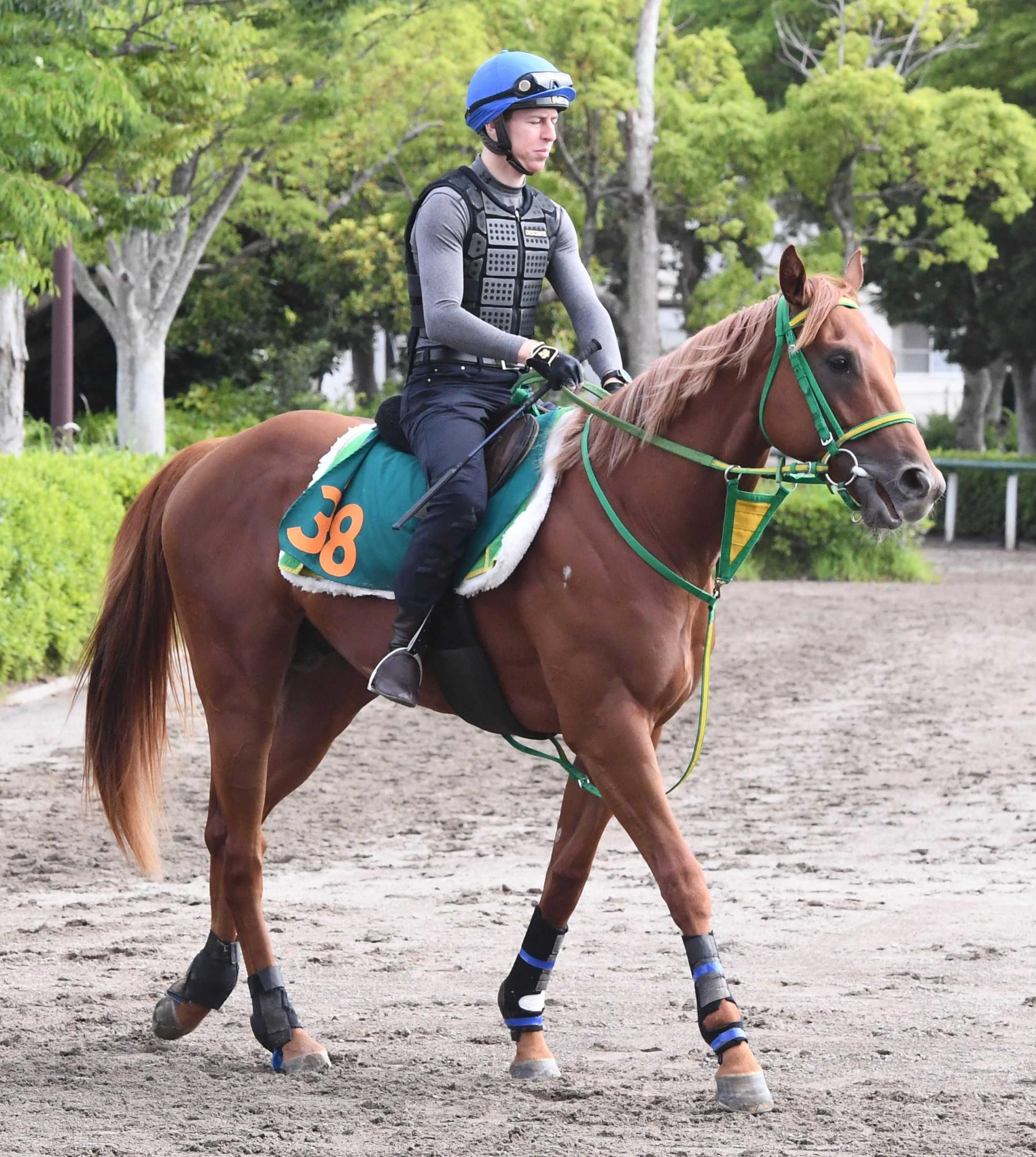 【新馬戦】デミアン　世界が注目するフライトライン初年度産駒が初陣　斎藤誠師「ポテンシャルの高い馬です」