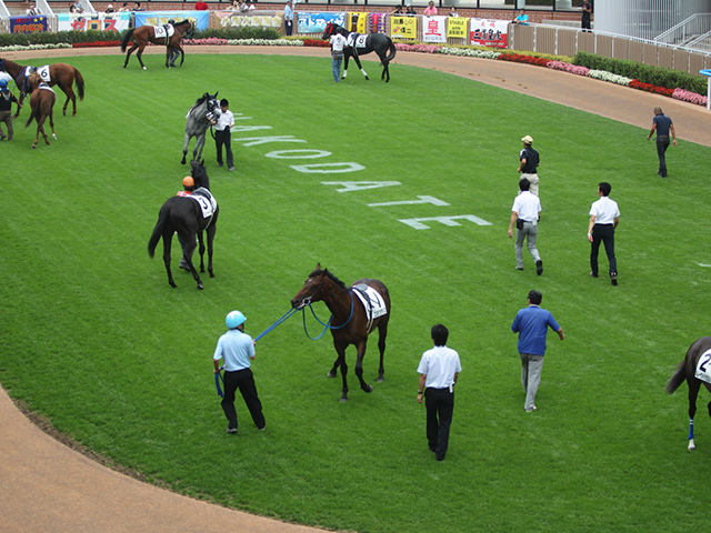 【函館スプリントS結果】ピューロマジックが逃げ切り重賞4勝目