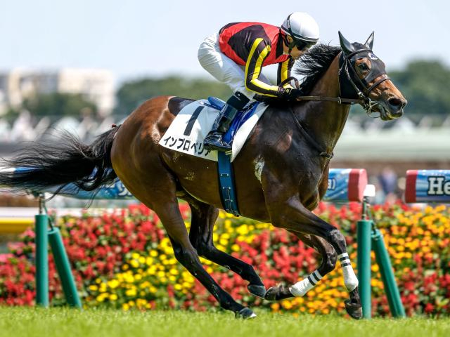 【日野特別レース後コメント】インペリアルライン木幡巧也騎手ら