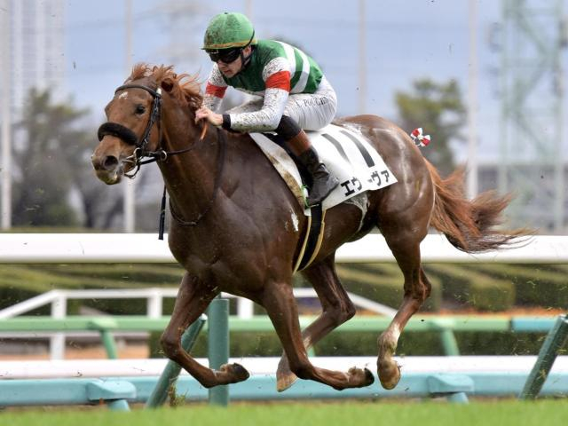 全兄はエフフォーリア エヴィーヴァが距離短縮で初勝利なるか