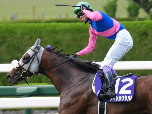 【宝塚記念過去10回傾向】直線の短い阪神芝2200m 逃げ・先行馬が有利なコース