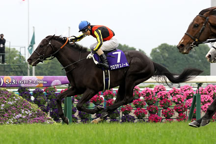 クロワデュノール　春三冠レースの結果　1-1-2←これwww