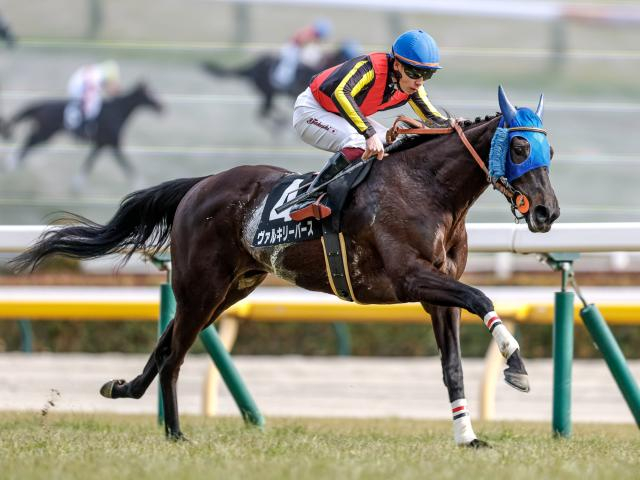 【府中牝馬S見どころ】牝馬限定戦なら力上位のヴァルキリーバース