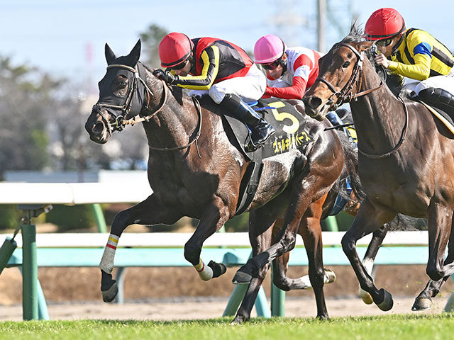 【府中牝馬S想定騎手】ヴァルキリーバースはC.ルメール騎手、コガネノソラは菊沢一樹騎手