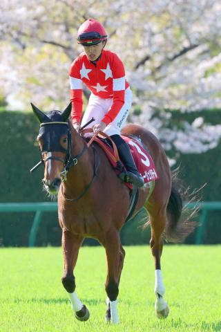 【府中牝馬S】東京1800メートルはお任せ!充実一途のルージュソリテールが重賞初制覇へ　陣営「ここでも楽しみ」
