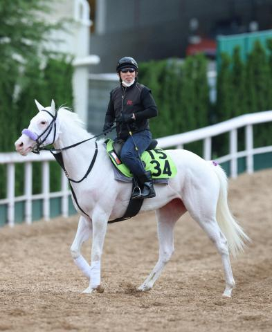 【函館新馬戦】白毛一族スノーウィスパー好反応　姉ソダシ&マルガに続き初陣飾る
