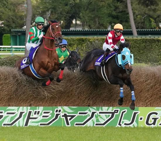 オジュウチョウサン殿堂入り!　障害馬では85年グランドマーチス以来2頭目　今夏には産駒がデビュー