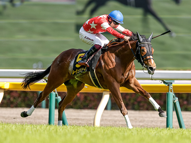 【府中牝馬S展望】前走強豪相手に3着のルージュソリテールが重賞初制覇へ