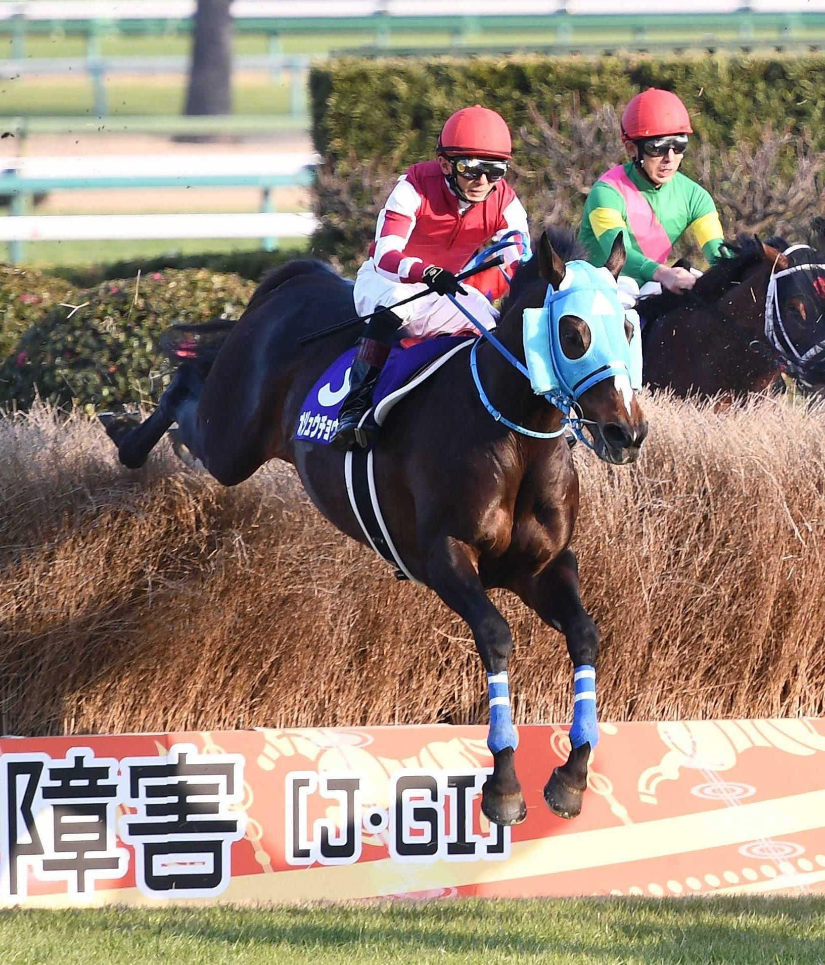 オジュウチョウサンが殿堂入り　障害馬では８５年グランドマーチス以来２頭目　選定対象３年目、得票率８６・６％