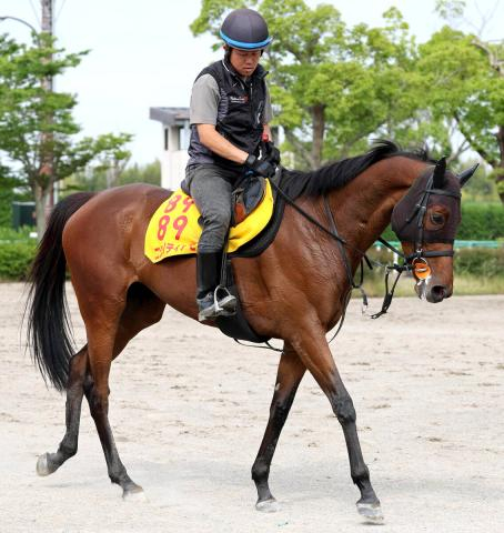 【府中牝馬S】キャリアハイの重賞6勝目にニシノティアモと挑む津村明秀騎手「取りに行きたい」と色気十分