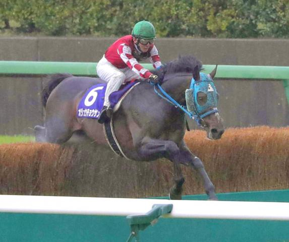 史上最多JG1・9勝のオジュウチョウサンが39頭目の顕彰馬選出　石神深一元騎手「本当に人の心を動かす馬」