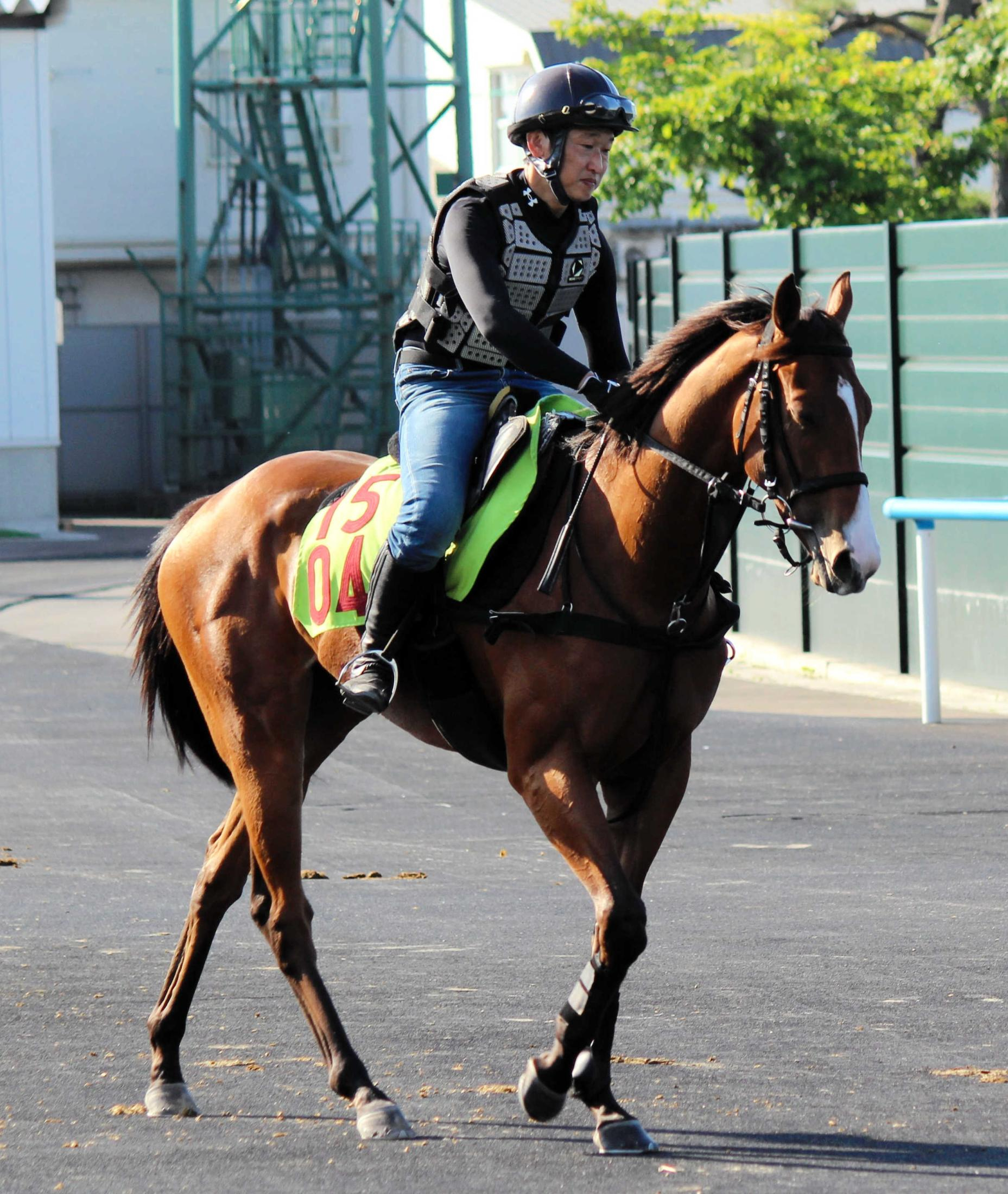 【新馬戦】ラピッドテソーロ　動き素軽く初戦から　母は芝＆ダートの二刀流で活躍したリエノテソーロ