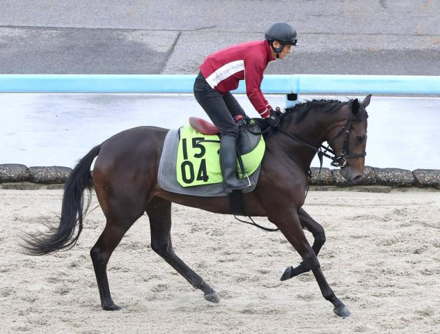 【POG】ソフト柳田悠岐オーナーのブラックミューズ「初戦から楽しみ」20日阪神5Rでデビュー