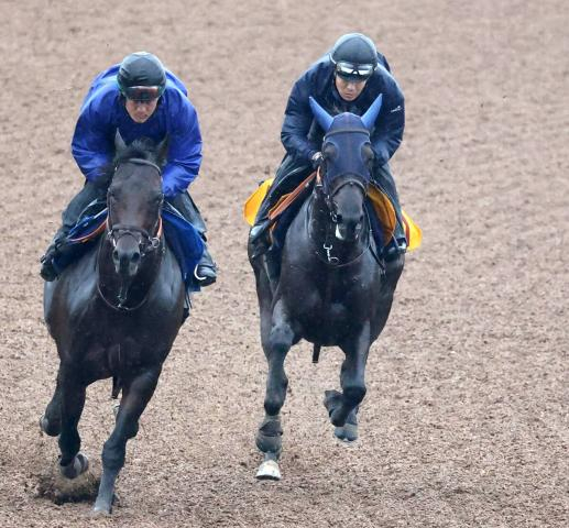 【府中牝馬S】G1級3勝ノッてる「タナパク厩舎」ヴァルキリーバース上昇