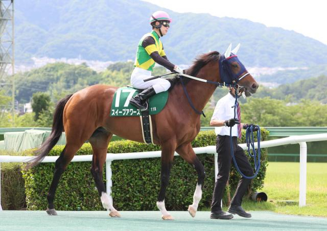 【しらさぎS】超良血スイープアワーズは重賞初挑戦で5着　「昇級戦でこれだけいい競馬」国分優作騎手は手応え