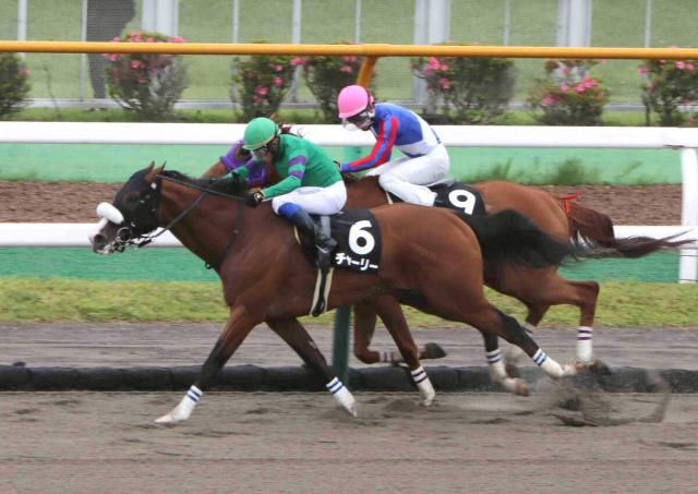 【函館10R・檜山特別】単勝1・3倍の1番人気チャーリー快勝　奥村武調教師「相手がしぶとくてドキドキしました」