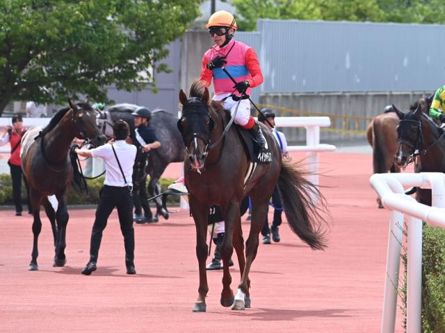 【姫路Sレース後コメント】ペイシャモノノフ池添謙一騎手ら