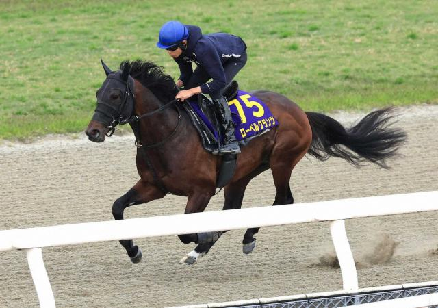 【ラジオNIKKEI賞　展望】実績上位ローベルクランツ重賞初V決める