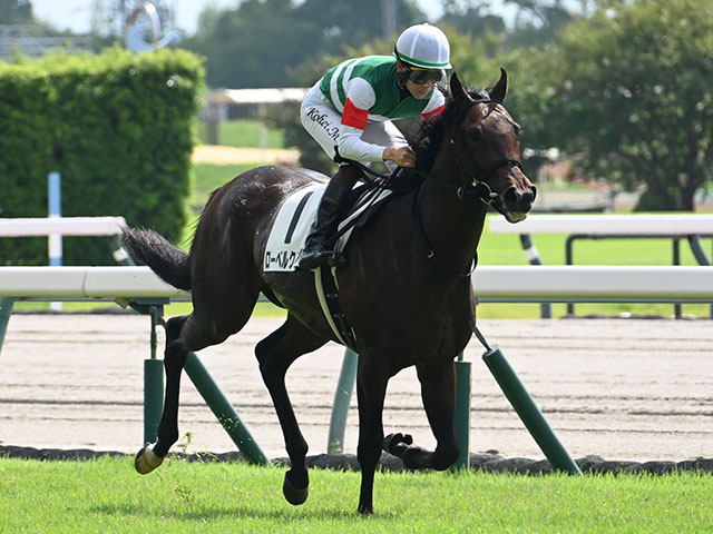 【ラジオNIKKEI賞想定騎手】ローベルクランツは松山弘平騎手、サウンドムーブは団野大成騎手