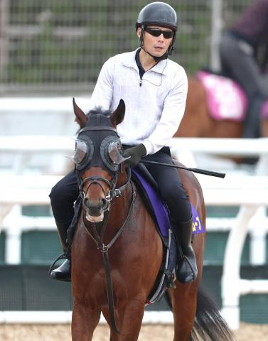 【ラジオNIKKEI賞】斉藤崇調教師「どういう基準でこれだけのハンデ差が…」登録のあったサウンドムーブは回避