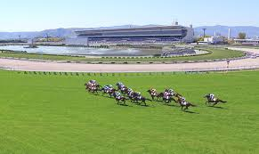 おまえら競馬場に行ったら何食ってるんだ？