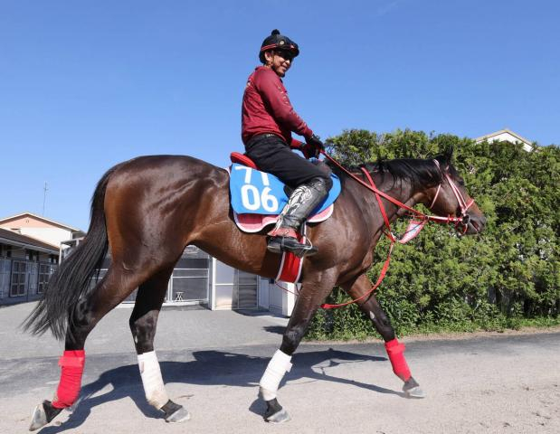 【函館記念】3・2億円馬ジュタは発馬がキーポイント　陣営「馬力があって洋芝も大丈夫。滞在競馬もいいのでは」