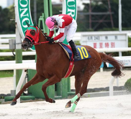 【阪神アーバン競馬プレーバック】ここから反攻だ　ジーニアスレノンが3戦ぶり勝利