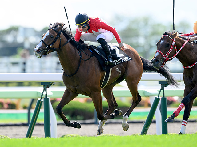 【青函S結果】3歳牝馬ブラックチャリスが接戦を制す