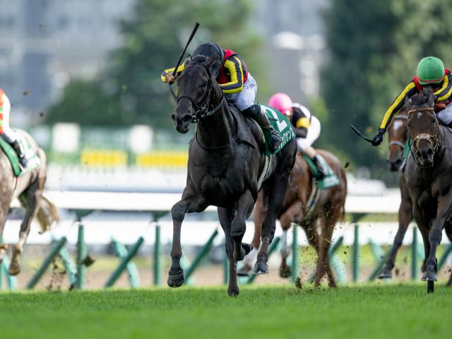 【函館記念予想】重い斤量を背負った馬には鬼門とも言える一戦!? 距離延長や小回りの多頭数競馬もマイナスになりそうな人気馬
