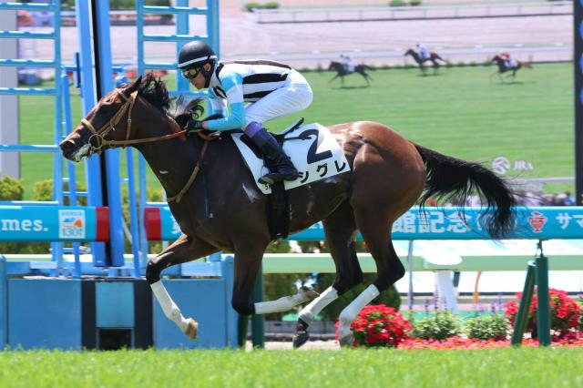 武豊騎手の相棒が凄すぎる!「直線何だアレ」「次走が怖い」初陣で馬なり圧勝したシグレのレースぶりにネット仰天