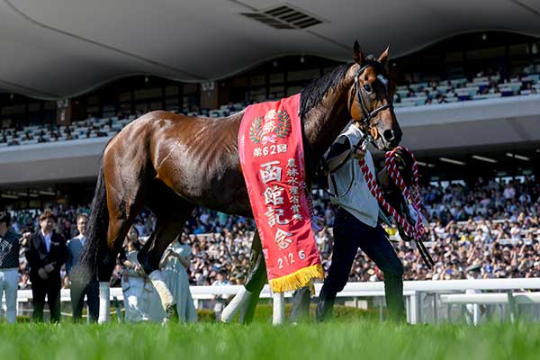 【函館記念回顧】タフな競馬への適性が問われた函館記念を回顧 直線での追い風が鍵か