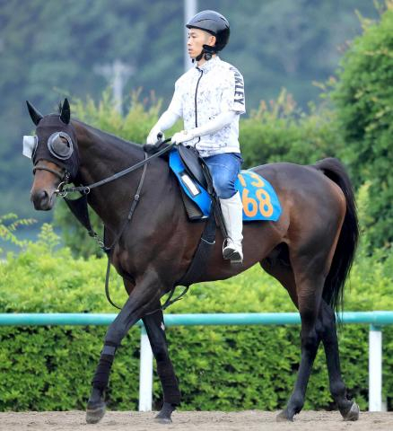 【ジュライS】ニシキギミッチーはゲート練習を積んでスタート改善　鈴木伸調教師「毎日やっている」