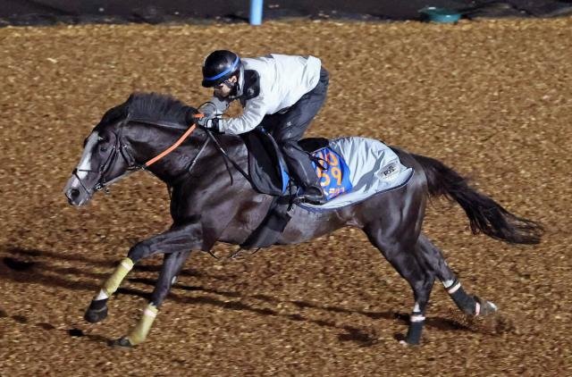 【注目馬動向】仏G1・ジャックルマロワ賞に参戦のシュトラウスはモレイラ騎手とコンビ継続予定