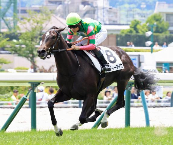 【注目馬動向】28日の新馬戦で7馬身差の圧巻Vを決めたジーティーマイカは中京2歳Sへ
