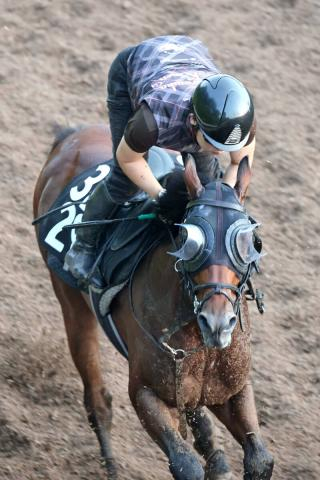 【博多S】唯一の3歳馬サウンドムーブが賞金加算へ　斉藤崇調教師「ここでなんとかという気持ちですね」