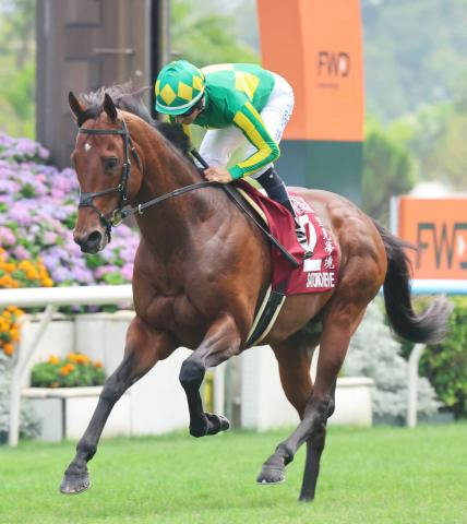 【注目馬動向】サトノレーヴはジ・エベレストの招待を受けず欧州で転戦を視野　豪メディアが報じる