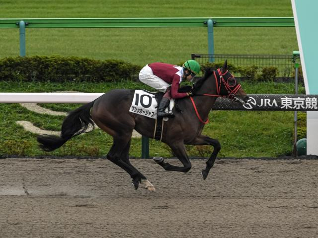 【北九州記念予想オッズ】フリッカージャブが予想1番人気