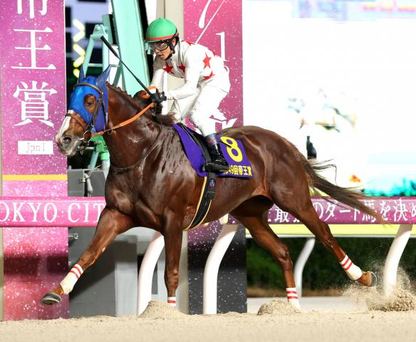 【大井競馬・帝王賞】ミッキーファイトが単勝1・7倍の圧倒的人気に応え快勝　22、23年のメイショウハリオ以来、2頭目連覇を達成