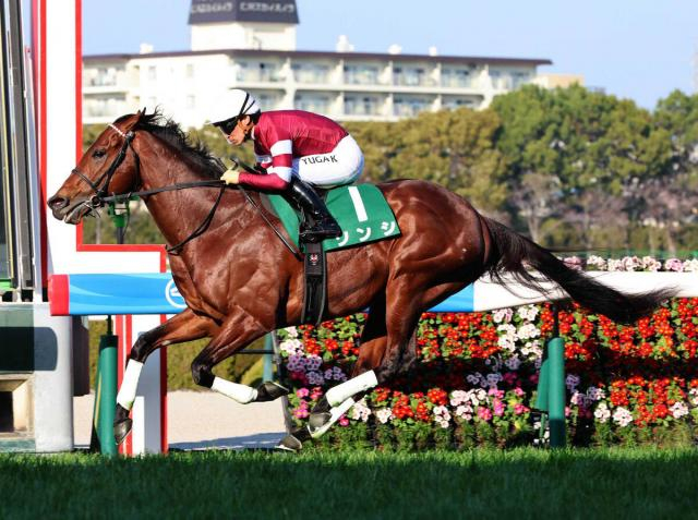 藤田晋オーナーのソンシが電撃引退　今年の阪急杯でレコードV　ニュージーランドで種牡馬入りへ
