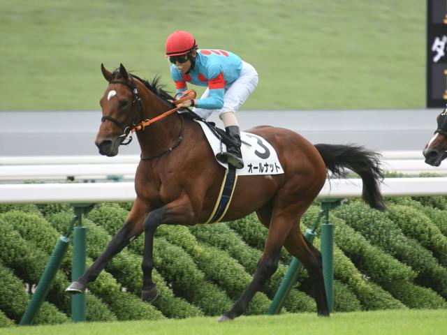 【有力馬動向】オールナットが七夕賞で巻き返しへ…高野師「これからさらに良くなる」/馬三郎のつぶやき