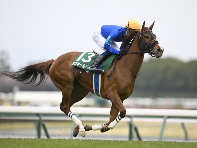 【週末情報】昨年以上の出来になったアブキールベイ、はまれば一発あり！/馬三郎のつぶやき