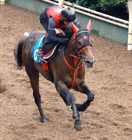 【北九州記念・データ埋蔵金】夏は勢いのある馬を狙え　上昇カーブを描く馬は斤量増でもはね返せる