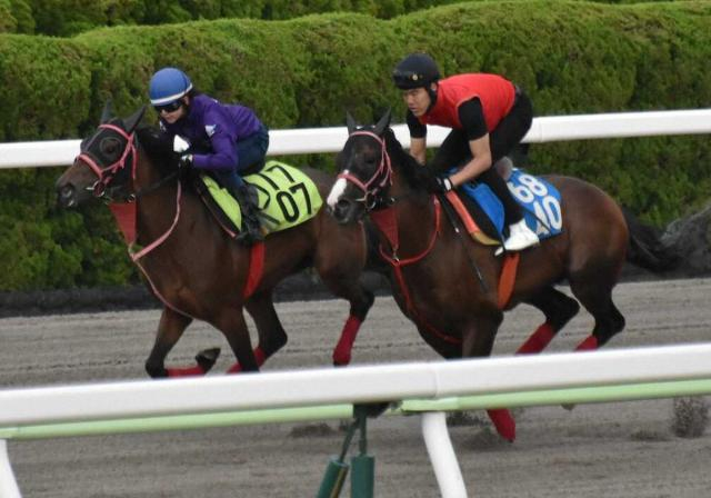 【函館新馬戦】静内農業高の生産馬ロゼハイスクール、高校生の思い背負っていざ出陣